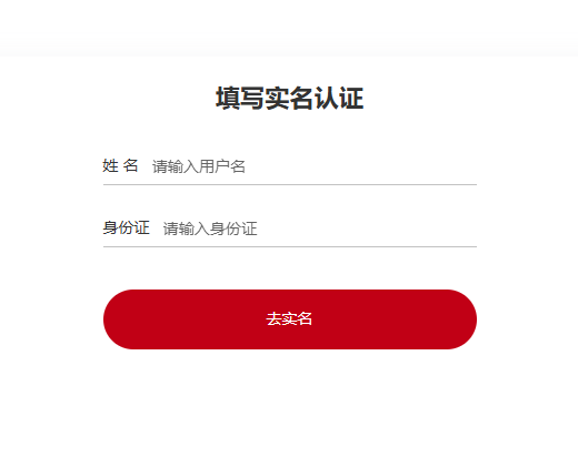 实名-极致ip